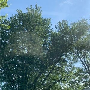 Meet your Posher, Evalou